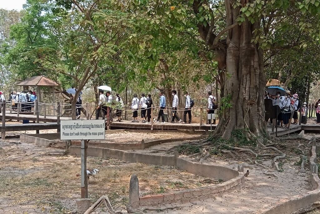 image-50
